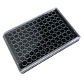 TheraDep Collagen 96-Well Microplate – Black/Clear, Flat Bottom, TC-Treated (With Lid)